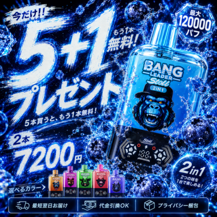 BANG LEADER STOLL 12万